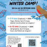 Flyer_stage_ecole_digital