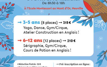 Flyer_stage_ecole_digital