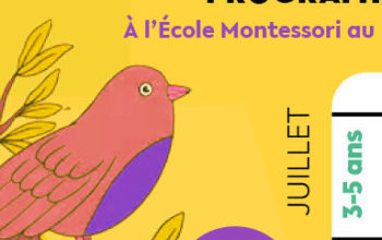 Stage-enfants-ete-montessori-lyon-neuville-grand